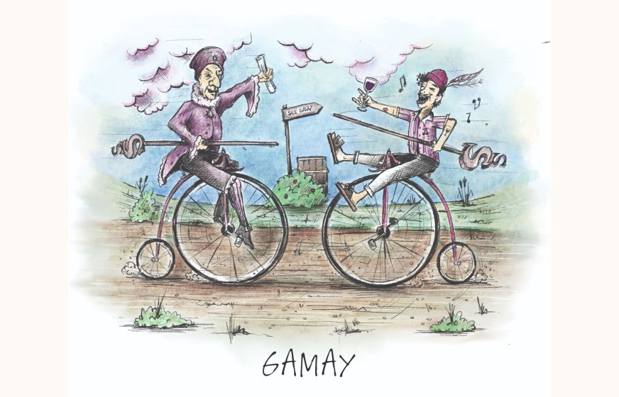 A SeeSaw Gamay illustration
